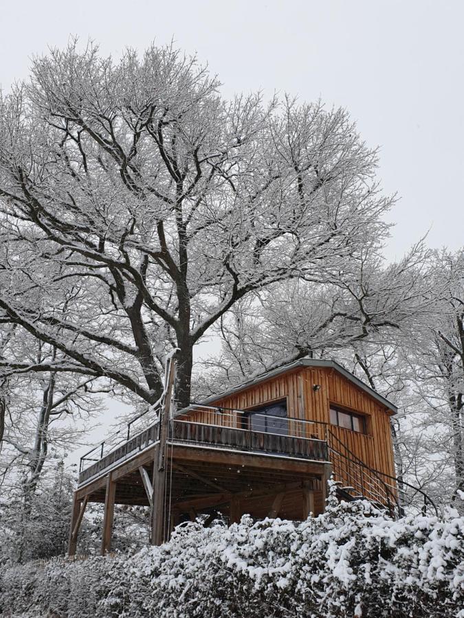 La Cabane Perchee Du Faucon Frechou-Frechet 외부 사진